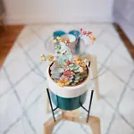 6 Rue Coste Corail Apartment *