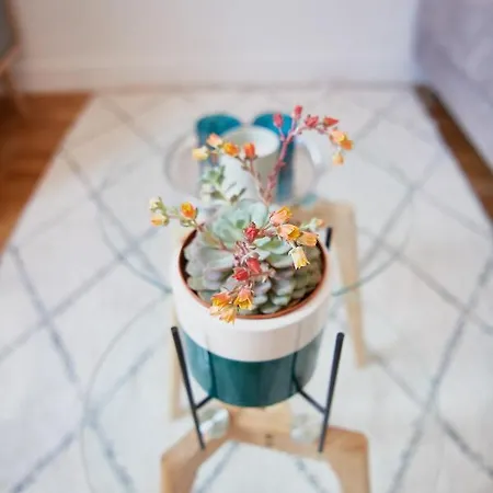 6 Rue Coste Corail Lägenhet *