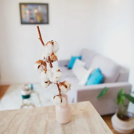 Appartement 6 Rue Coste Corail Cannes